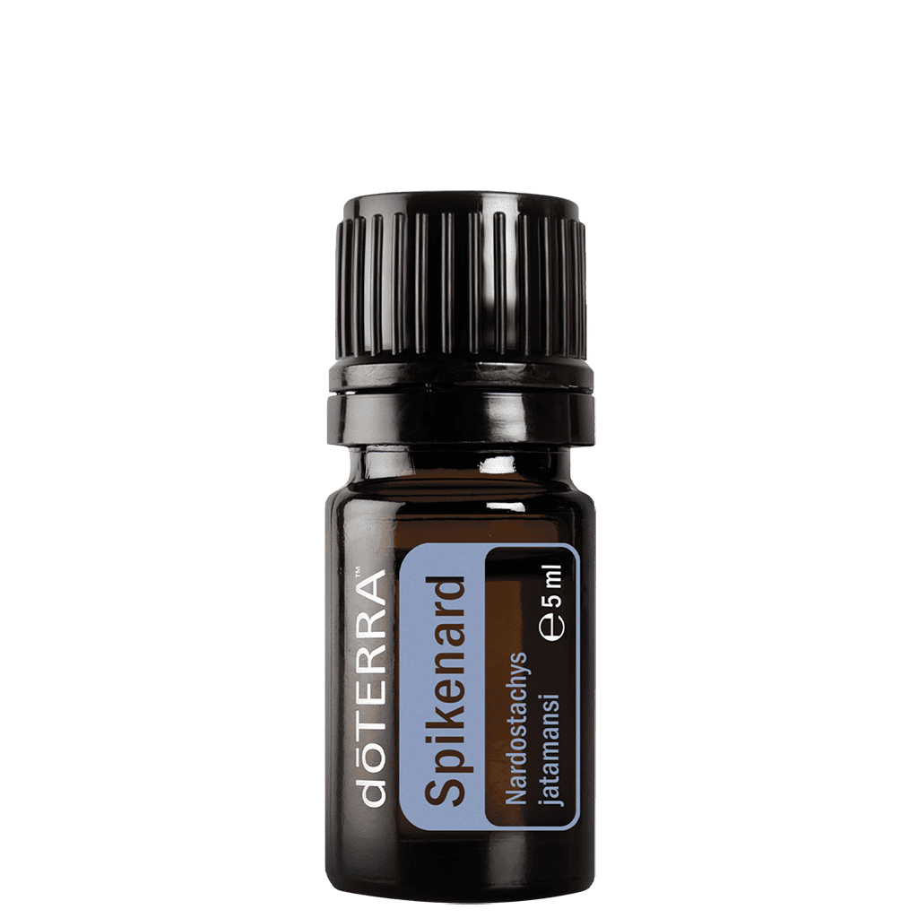 Spikenard