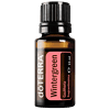 Wintergreen (Nepalese) Wintergreen (Nepalese)